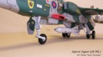 Sepecat Jaguar Fly  Nr. 44 (21).JPG

93,12 KB 
1365 x 768 
15.10.2012
